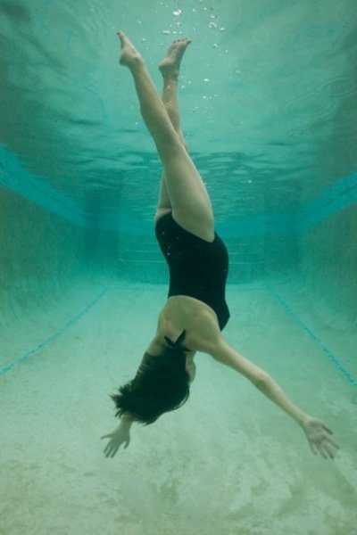 1909725_164636520168_8311755_n