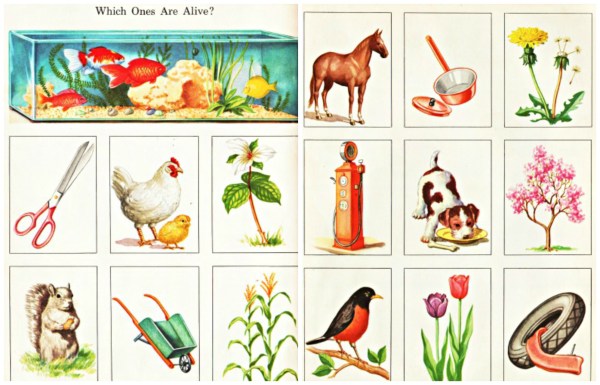 schoolbook-mother-nature